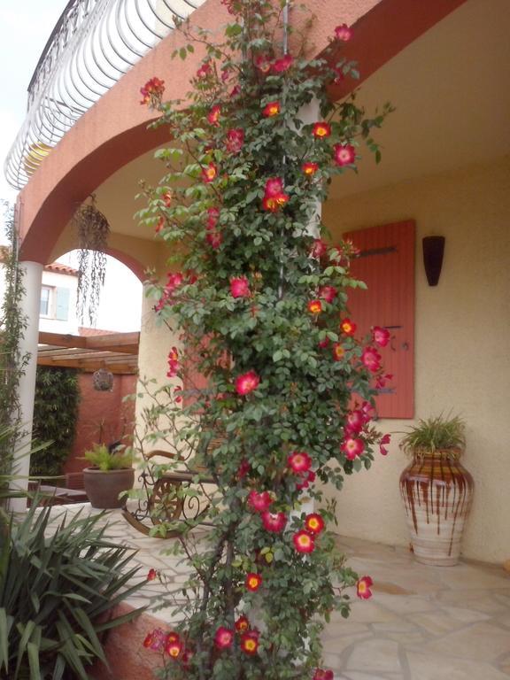Bed and Breakfast La Gentoliere Pollestres Екстер'єр фото